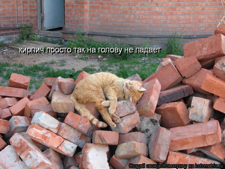 кирпич просто так на голову не падает кирпич просто так на голову не падает... Котоматрица: кирпич просто так на голову не падает кирпич просто так на голову не падает