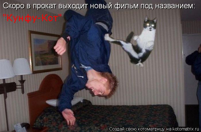 Скоро в прокат выходит новый фильм под названием: "Кунфу-Кот"... Котоматрица: Скоро в прокат выходит новый фильм под названием: "Кунфу-Кот"