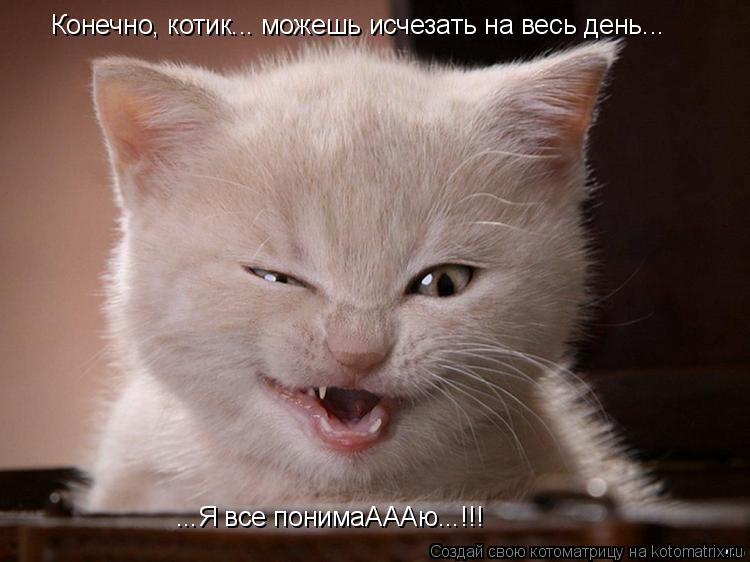Конечно, котик... можешь исчезать на весь день... ...Я все понимаАААю...!!!... Котоматрица: Конечно, котик... можешь исчезать на весь день... ...Я все понимаАААю...!!!