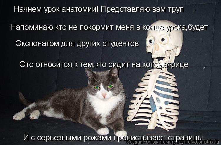 Начнем урок анатомии! Представляю вам труп Напоминаю,кто не покормит меня в конце урока,будет Экспона... Котоматрица: Начнем урок анатомии! Представляю вам труп Напоминаю,кто не покормит меня в конце урока,будет Экспонатом для других студентов Это относитс