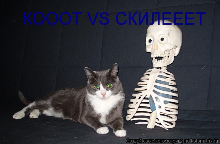 КОООТ VS СКИЛЕЕЕТ... Котоматрица: КОООТ VS СКИЛЕЕЕТ