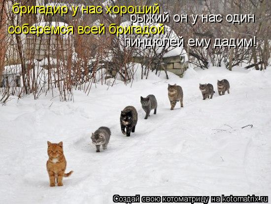 бригадир у нас хороший рыжий он у нас один соберемся всей бригадой пиндюлей ему дадим!... Котоматрица: бригадир у нас хороший рыжий он у нас один соберемся всей бригадой пиндюлей ему дадим!