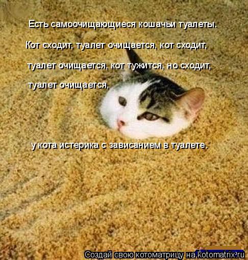 Есть самоочищающиеся кошачьи туалеты. Кот сходит, туалет очищается, кот сходит, туалет очищается, кот... Котоматрица: Есть самоочищающиеся кошачьи туалеты. Кот сходит, туалет очищается, кот сходит, туалет очищается, кот тужится, но сходит, туалет очищается,