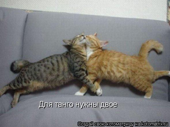 Для танго нужны двое... Котоматрица: Для танго нужны двое