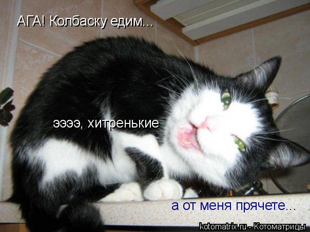 АГА! Колбаску едим... ээээ, хитренькие а от меня прячете...... Котоматрица: АГА! Колбаску едим... ээээ, хитренькие а от меня прячете...