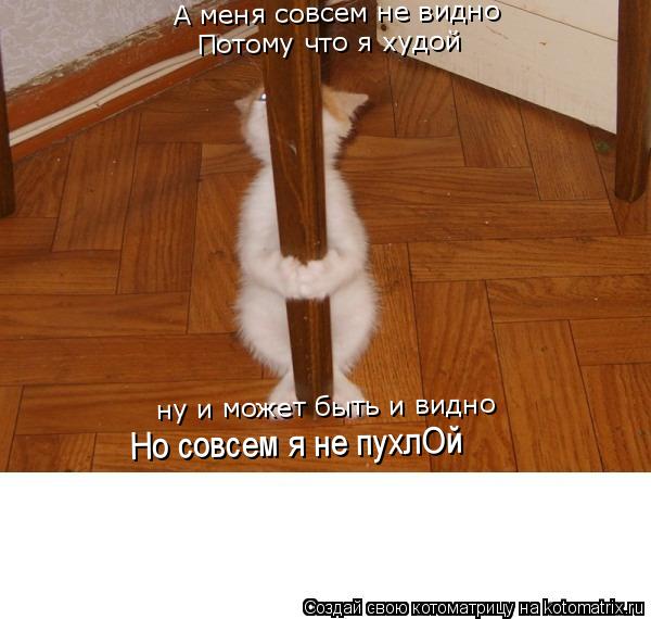 А меня совсем не видно А меня совсем не видно Потому что я худой ну и может быть и видно Но совсем я ... Котоматрица: А меня совсем не видно А меня совсем не видно Потому что я худой ну и может быть и видно Но совсем я не пухлОй