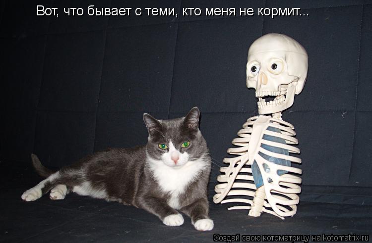 Котоматрица: Вот, что бывает с теми, кто меня не кормит...