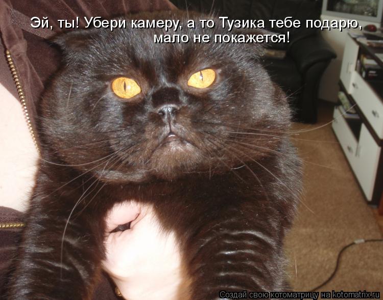 Котоматрица: Эй, ты! Убери камеру, а то Тузика тебе подарю, мало не покажется!