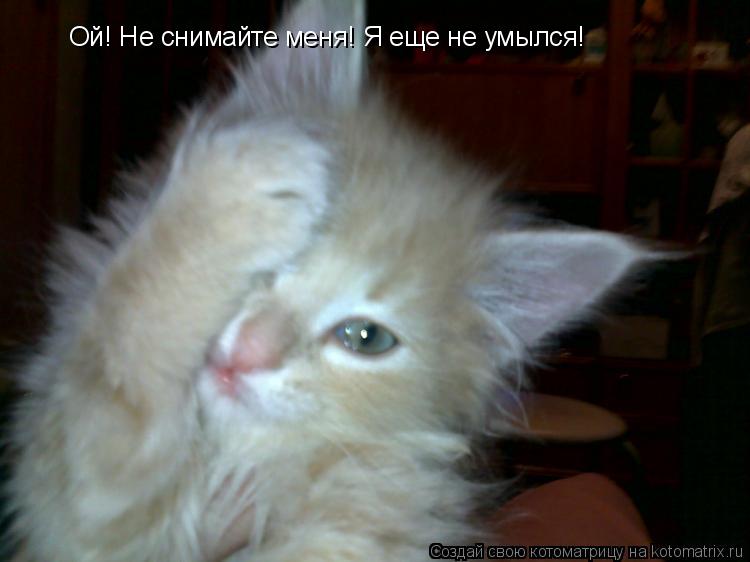 Котоматрица: Ой! Не снимайте меня! Я еще не умылся!