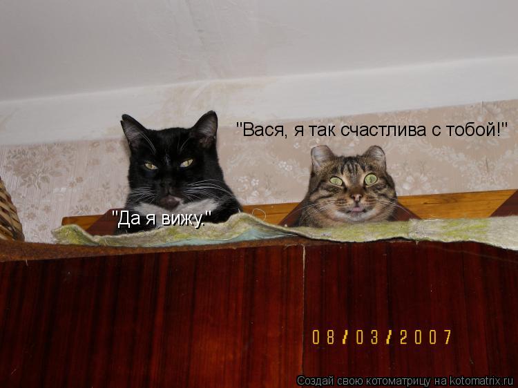 "Вася, я так "Вася, я так счастлива с тобой!" "Да я вижу."... Котоматрица: "Вася, я так "Вася, я так счастлива с тобой!" "Да я вижу."