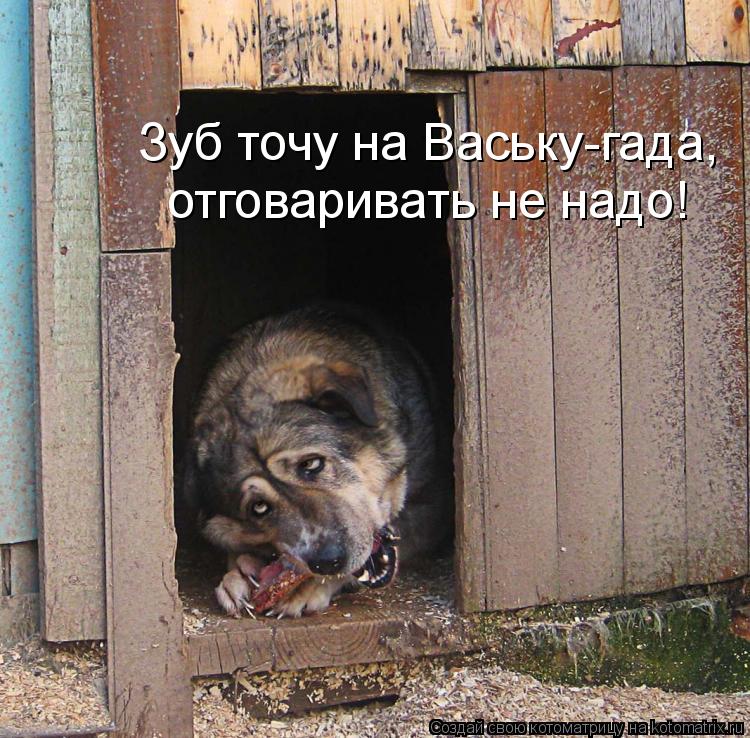 Зуб точу на Ваську-гада, отговаривать не надо!... Котоматрица: Зуб точу на Ваську-гада, отговаривать не надо!