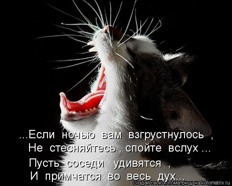 ...Если ночью вам взгрустнулось , Не стесняйтесь , спойте вслух ... Пусть соседи удивятся ,... Котоматрица: ...Если ночью вам взгрустнулось , Не стесняйтесь , спойте вслух ... Пусть соседи удивятся , И примчатся во весь дух...