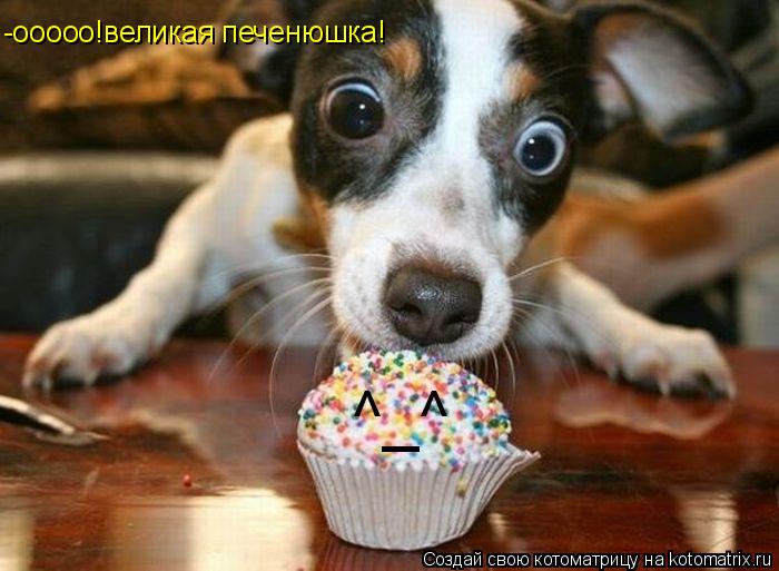 ^_^ -ооооо!великая печенюшка!... Котоматрица: ^_^ -ооооо!великая печенюшка!
