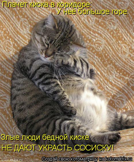 Плачет киска в коридоре: У неё большое горе. Злые люди бедной киске НЕ ДАЮТ УКРАСТЬ СОСИСКУ!... Котоматрица: Плачет киска в коридоре: У неё большое горе. Злые люди бедной киске НЕ ДАЮТ УКРАСТЬ СОСИСКУ!