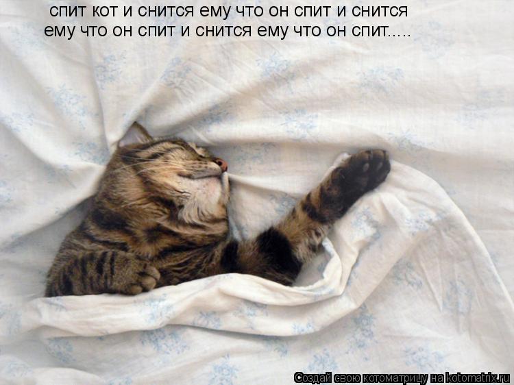 спит кот и снится ему что он спит и снится ему что он спит и снится ему что он спит........ Котоматрица: спит кот и снится ему что он спит и снится ему что он спит и снится ему что он спит.....