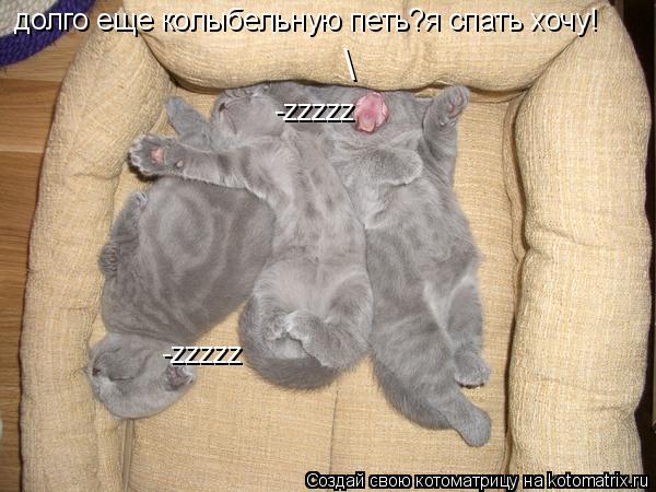 долго еще колыбельную петь?я спать хочу! -zzzzz -zzzzz \... Котоматрица: долго еще колыбельную петь?я спать хочу! -zzzzz -zzzzz \