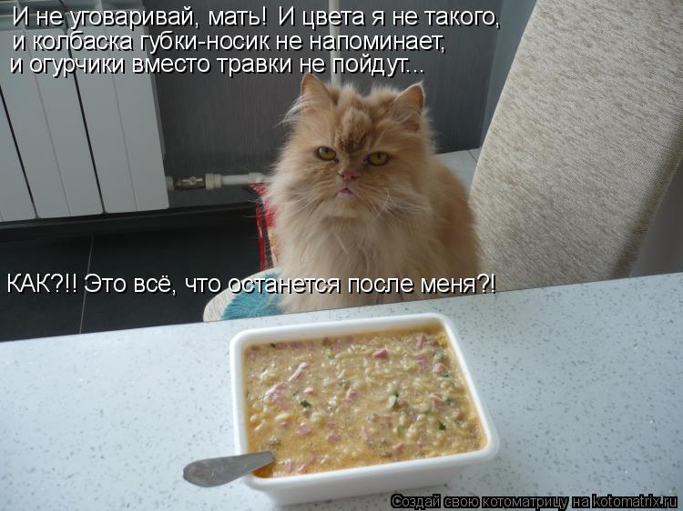 И не уговаривай, мать! И цвета я не такого, и колбаска губки-носик не напоминает, и огурчики вместо т... Котоматрица: И не уговаривай, мать! И цвета я не такого, и колбаска губки-носик не напоминает, и огурчики вместо травки не пойдут... КАК?!! Это всё, что остан