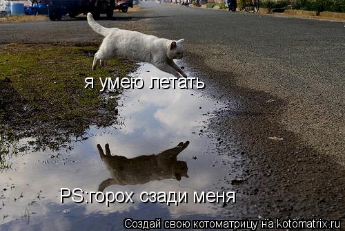 я умею летать PS:горох сзади меня... Котоматрица: я умею летать PS:горох сзади меня