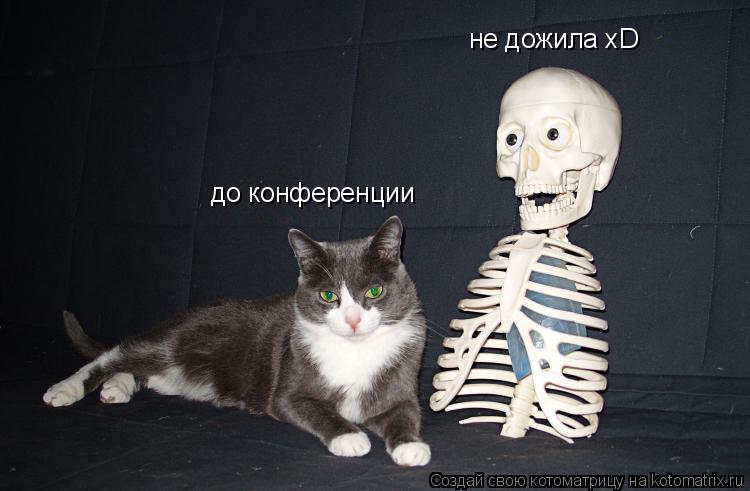 до конференции не дожила xD... Котоматрица: до конференции не дожила xD