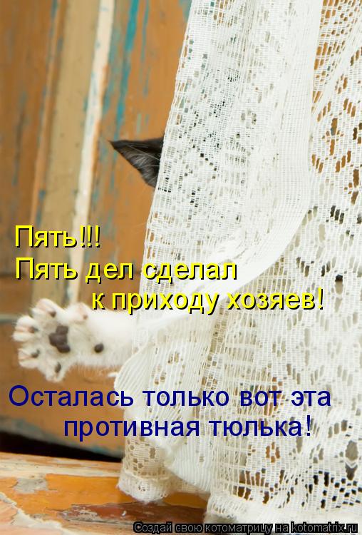 Пять!!! Пять дел сделал к приходу хозяев! Осталась только вот эта противная тюлька!... Котоматрица: Пять!!! Пять дел сделал к приходу хозяев! Осталась только вот эта противная тюлька!