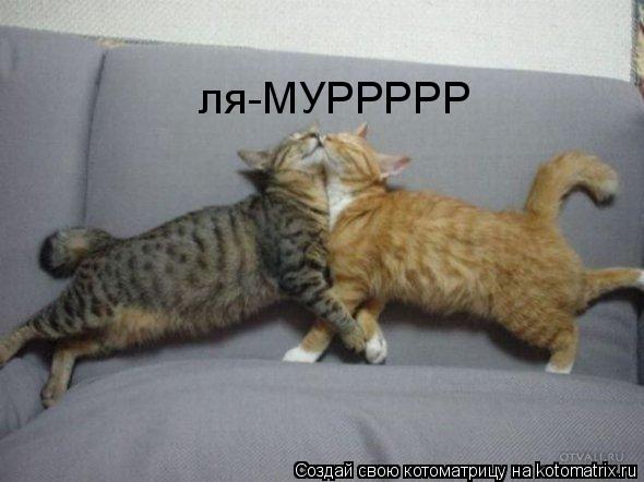 ля-МУРРРРР... Котоматрица: ля-МУРРРРР