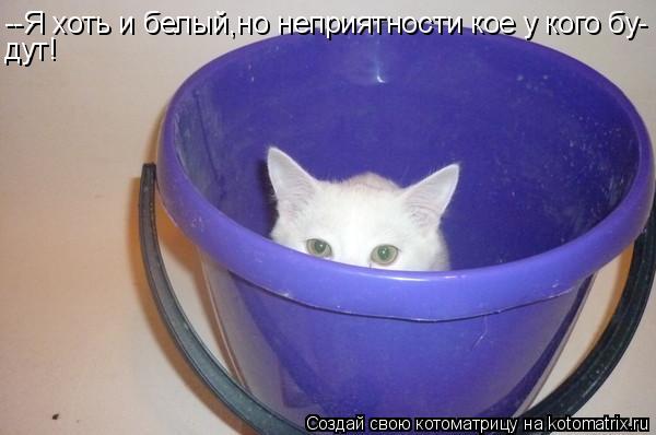 Котоматрица: --Я хоть и белый,но неприятности кое у кого бу- дут!