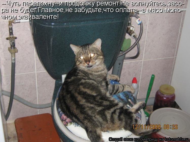 --Чуть передохну--и продолжу ремонт.Не волнуйтесь,засо- ра не будет.Главное,не забудьте,что оплата--в... Котоматрица: --Чуть передохну--и продолжу ремонт.Не волнуйтесь,засо- ра не будет.Главное,не забудьте,что оплата--в мясо-моло- чном эквиваленте!