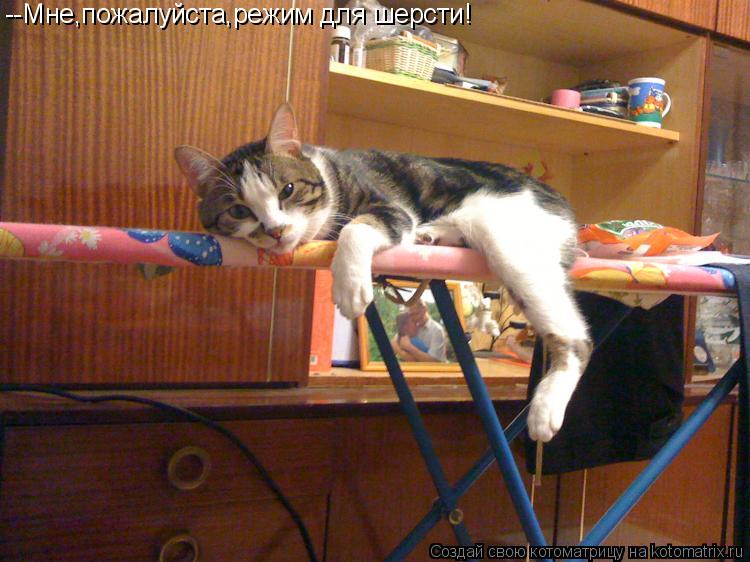 --Мне,пожалуйста,режим для шерсти!... Котоматрица: --Мне,пожалуйста,режим для шерсти!
