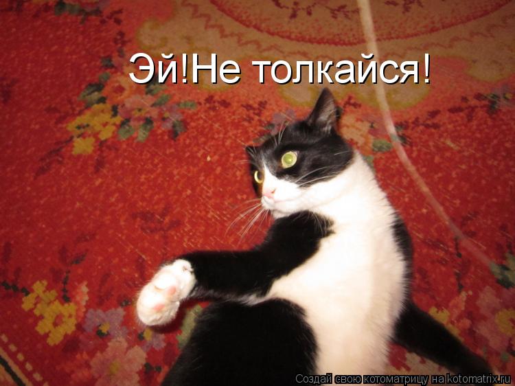 Эй!Не толкайся!... Котоматрица: Эй!Не толкайся!