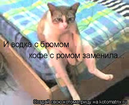 И водка с бромом кофе с ромом заменила...... Котоматрица: И водка с бромом кофе с ромом заменила...