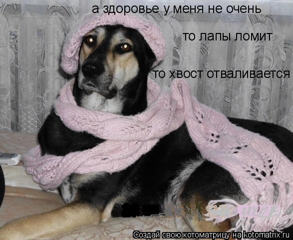а здоровье у меня не очень то лапы ломит то хвост отваливается... Котоматрица: а здоровье у меня не очень то лапы ломит то хвост отваливается