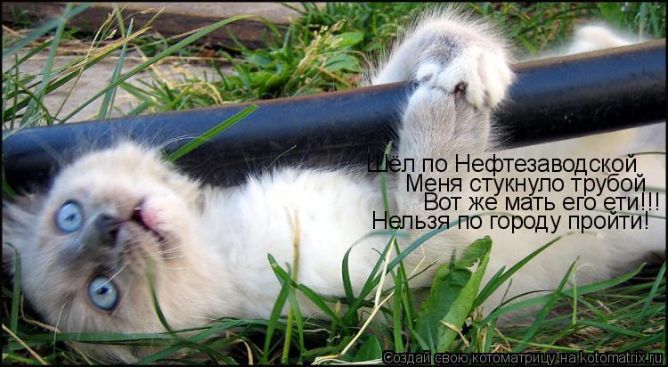 Меня стукнуло трубой Вот же мать его ети!!! Нельзя по городу пройти! Шёл по Нефтезаводской... Котоматрица: Меня стукнуло трубой Вот же мать его ети!!! Нельзя по городу пройти! Шёл по Нефтезаводской