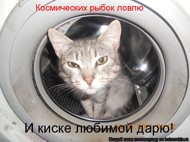 Космических рыбок ловлю И киске любимой дарю!... Котоматрица: Космических рыбок ловлю И киске любимой дарю!