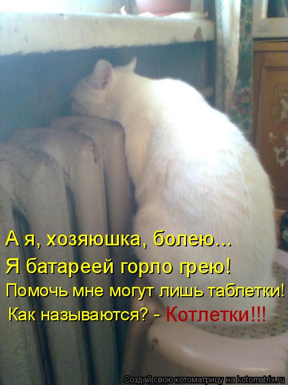 А я, хозяюшка, болею... Я батареей горло грею! Помочь мне могут лишь таблетки! Как называются? - Кот... Котоматрица: А я, хозяюшка, болею... Я батареей горло грею! Помочь мне могут лишь таблетки! Как называются? - Котлетки!!!