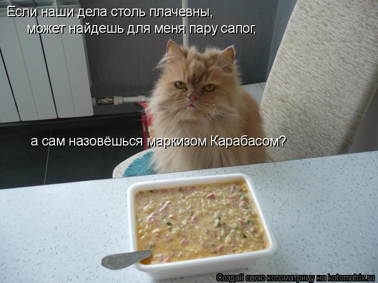 Если наши дела столь плачевны, может найдешь для меня пару сапог, а сам назовёшься маркизом Карабасом... Котоматрица: Если наши дела столь плачевны, может найдешь для меня пару сапог, а сам назовёшься маркизом Карабасом?