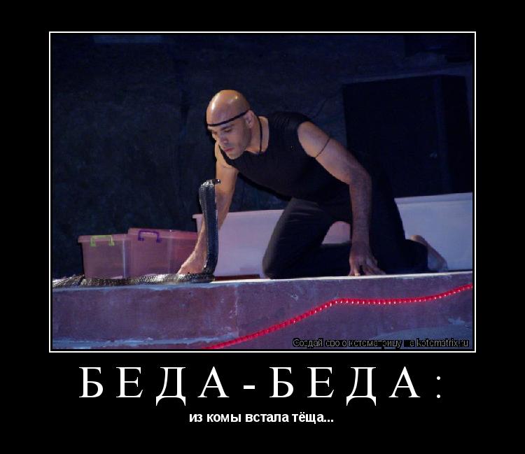 Беда-беда: из комы встала тёща...... Котоматрица: Беда-беда: из комы встала тёща...