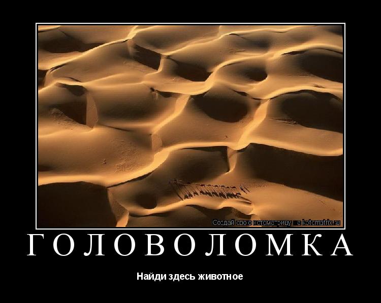 Головоломка Найди здесь животное... Котоматрица: Головоломка Найди здесь животное