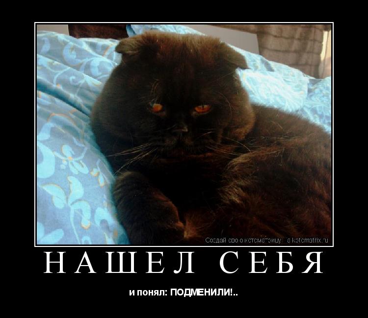 Нашёл себя и понял: ПОДМЕНИЛИ!..... Котоматрица: Нашёл себя и понял: ПОДМЕНИЛИ!..