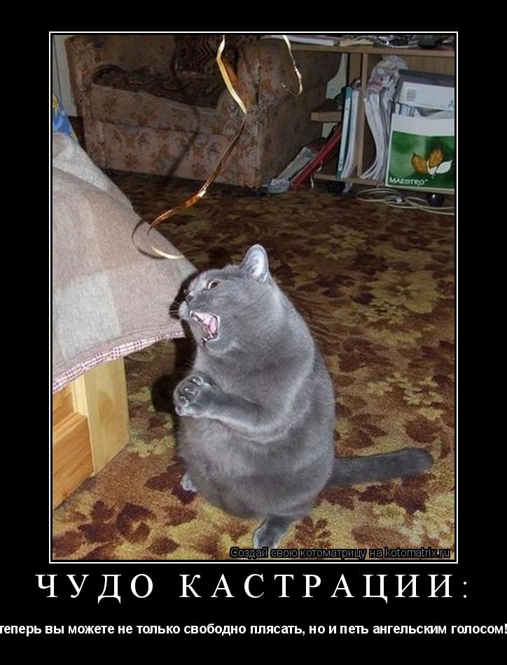 Котоматрица: Чудо кастрации: теперь вы можете не только свободно плясать, но и петь ангельским голосом!