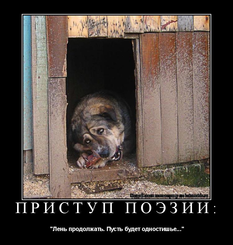 Приступ поэзии: "Лень продолжать. Пусть будет одностишье..."... Котоматрица: Приступ поэзии: "Лень продолжать. Пусть будет одностишье..."