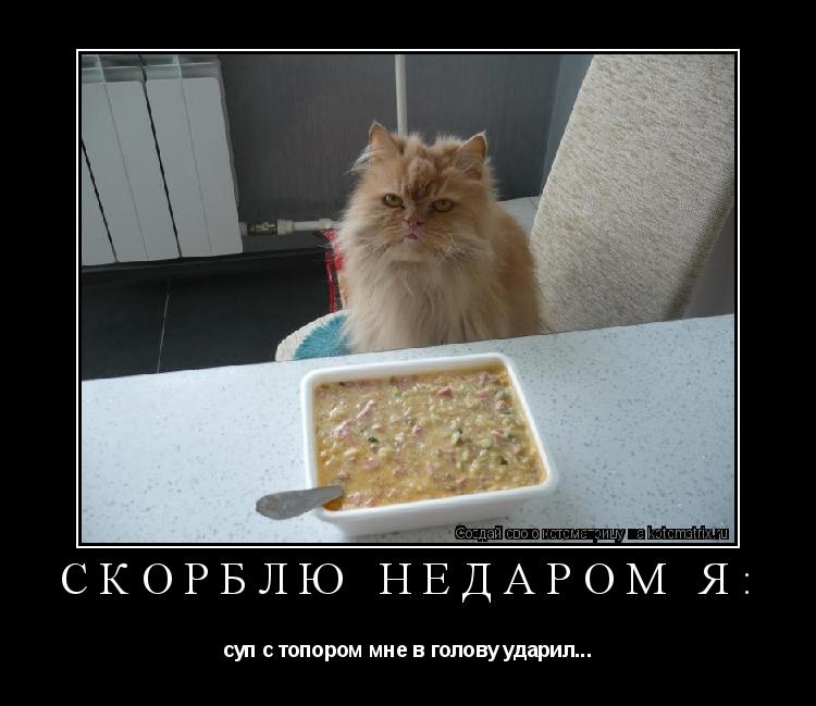 сКОРБЛЮ недаром я: суп с топором мне в голову ударил...... Котоматрица: сКОРБЛЮ недаром я: суп с топором мне в голову ударил...