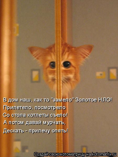В дом наш, как то "замело" Золотое НЛО! Прилетело, посмотрело Со стола котлеты съело! А потом дав... Котоматрица: В дом наш, как то "замело" Золотое НЛО! Прилетело, посмотрело Со стола котлеты съело! А потом давай мурчать, Дескать - прилечу опять!