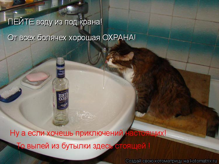 ПЕЙТЕ воду из под крана! От всех болячех хорошая ОХРАНА! Ну а если хочешь приключений настоящих! То в... Котоматрица: ПЕЙТЕ воду из под крана! От всех болячех хорошая ОХРАНА! Ну а если хочешь приключений настоящих! То выпей из бутылки здесь стоящей !