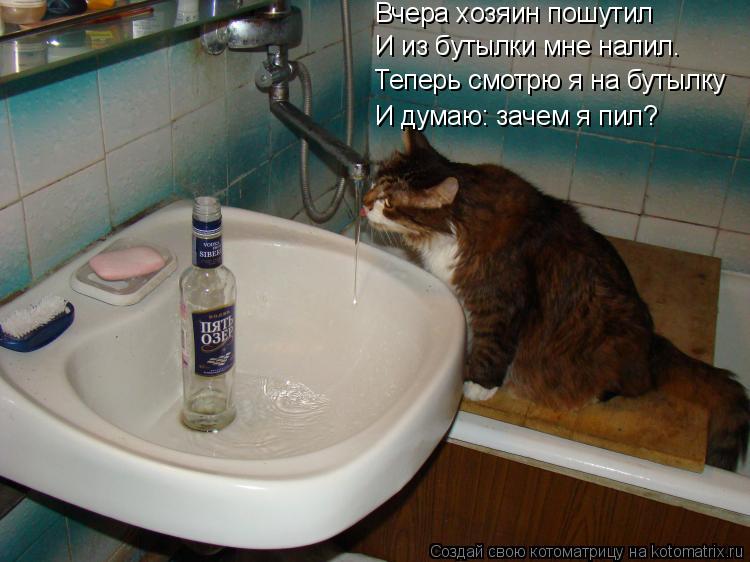Вчера хозяин пошутил И из бутылки мне налил. Теперь смотрю я на бутылку И думаю: зачем я пил?... Котоматрица: Вчера хозяин пошутил И из бутылки мне налил. Теперь смотрю я на бутылку И думаю: зачем я пил?