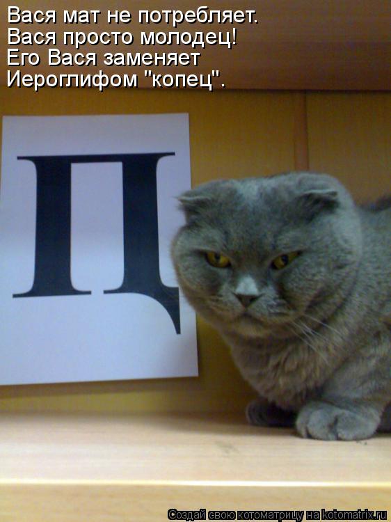 Вася мат не потребляет. Вася просто молодец! Его Вася заменяет Иероглифом "копец".... Котоматрица: Вася мат не потребляет. Вася просто молодец! Его Вася заменяет Иероглифом "копец".