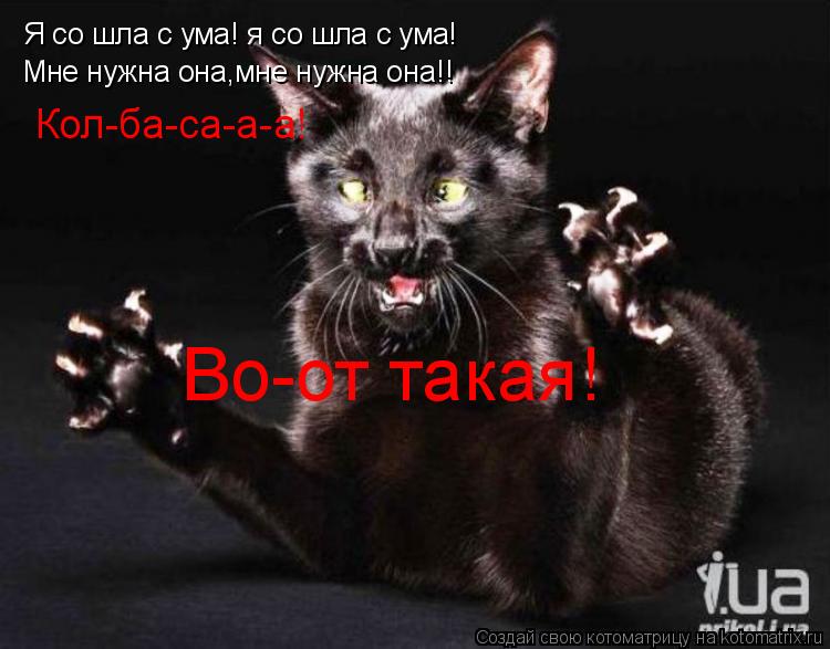 Я со шла с ума! я со шла с ума! Мне нужна она,мне нужна она!! Кол-ба-са-а-а! Во-от такая!... Котоматрица: Я со шла с ума! я со шла с ума! Мне нужна она,мне нужна она!! Кол-ба-са-а-а! Во-от такая!