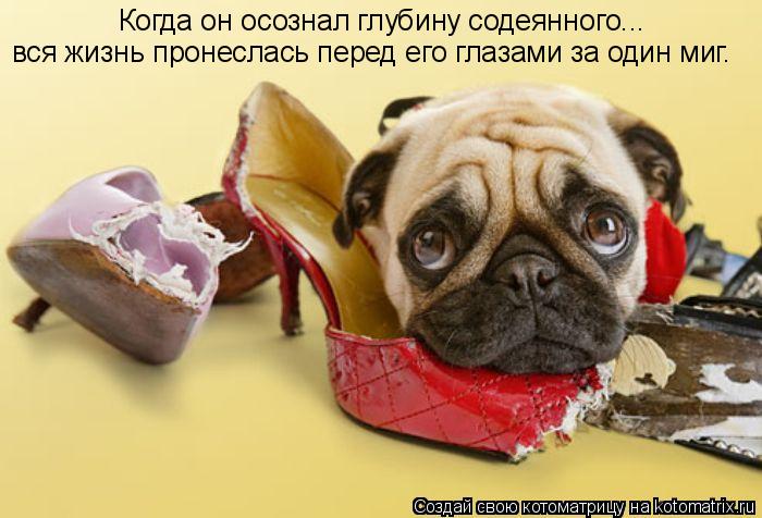 Когда он осознал глубину содеянного... вся жизнь пронеслась перед его глазами за один миг.... Котоматрица: Когда он осознал глубину содеянного... вся жизнь пронеслась перед его глазами за один миг.