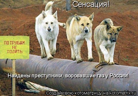 Сенсация! Найдены преступники, воровавшие газ у России!... Котоматрица: Сенсация! Найдены преступники, воровавшие газ у России!