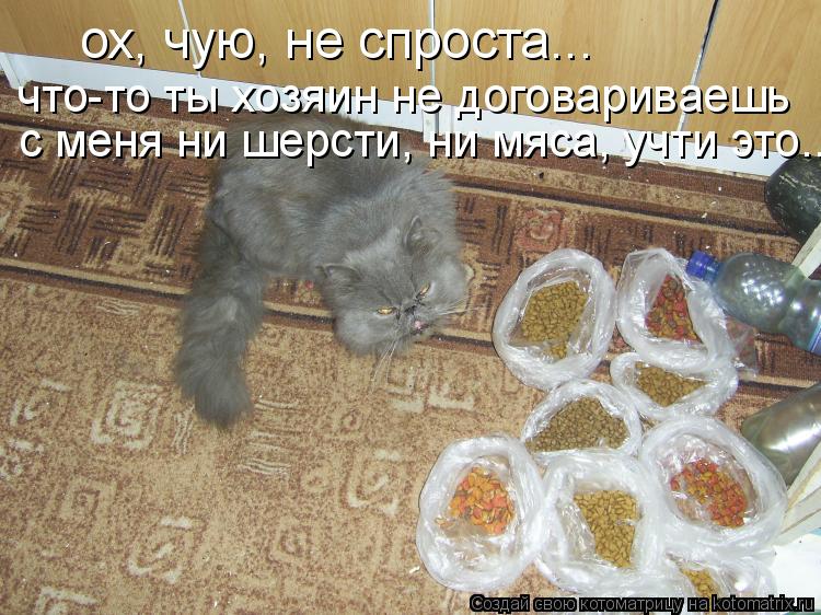 ох, чую, не спроста... что-то ты хозяин не договариваешь с меня ни шерсти, ни мяса, учти это...... Котоматрица: ох, чую, не спроста... что-то ты хозяин не договариваешь с меня ни шерсти, ни мяса, учти это...