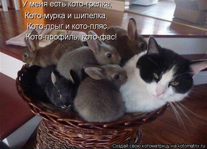 У меня есть кото-грелка, Кото-мурка и шипелка, Кото-прыг и кото-пляс, Кото-профиль, кото-фас!... Котоматрица: У меня есть кото-грелка, Кото-мурка и шипелка, Кото-прыг и кото-пляс, Кото-профиль, кото-фас!